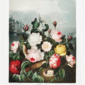 Roses from The Temple of Flora (1807)