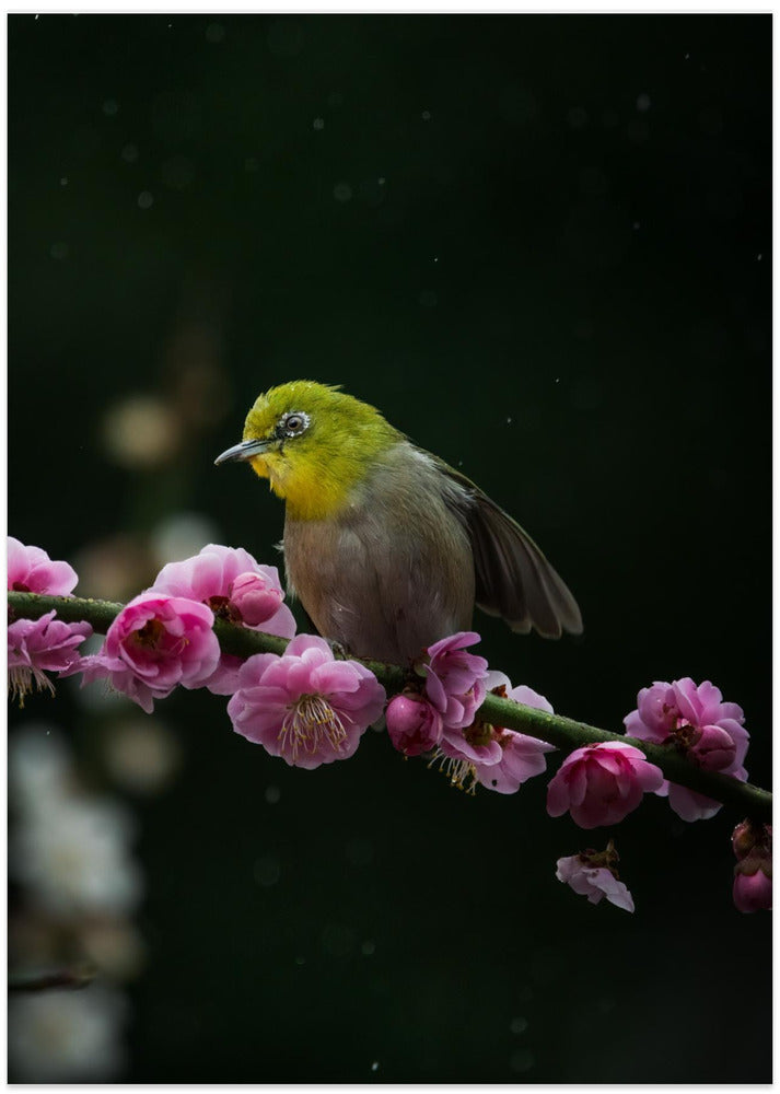 Struck by Spring Rain