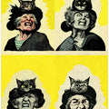 Angry Cat Lady