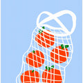 Tomatoes in Mesh