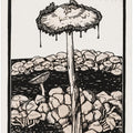 Dripping Mushroom 1916