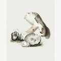 Vintage Agaricus Augustus Mushroom 50x70