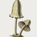 Vintage Inky Cap Edible Mushroom