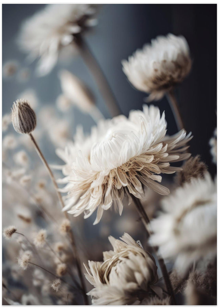 Dry Pastel Flowers No 2