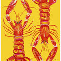 Art Prints of Langoustines On Yellow