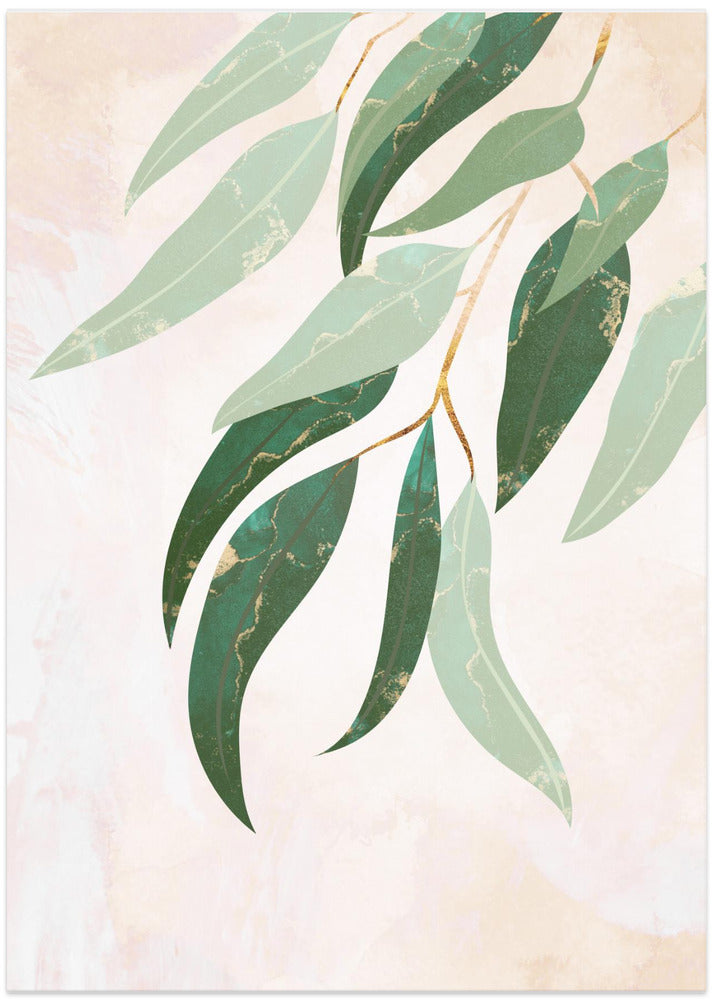 Australian Eucalyptus leaves