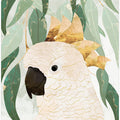 Sydney Opera Cockatoo with Eucalyptus
