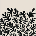 Henri Matisse Black Algae Collection #2