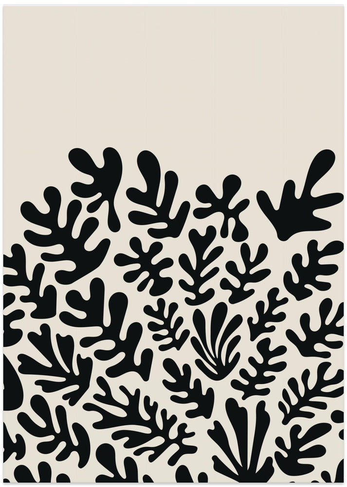 Henri Matisse Black Algae Collection #2