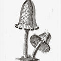 Vintage Inky Cap Edible Mushroom BW Bright