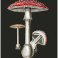 Amanita Muscaria Dark Background
