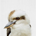 Peekaboo Kookaburra
