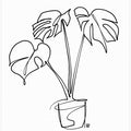 Art Prints of House Plant