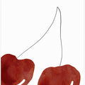 Isolated Cherries