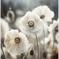 White Poppy Field No 1