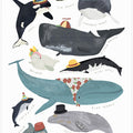 Whales In Hats