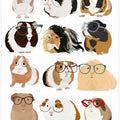 Guinea Pig in Glasses