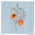 Art Prints of Peaches