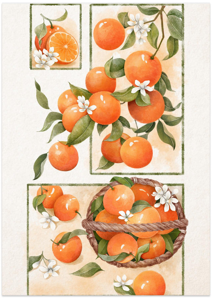 Art Prints of Orange Blossom