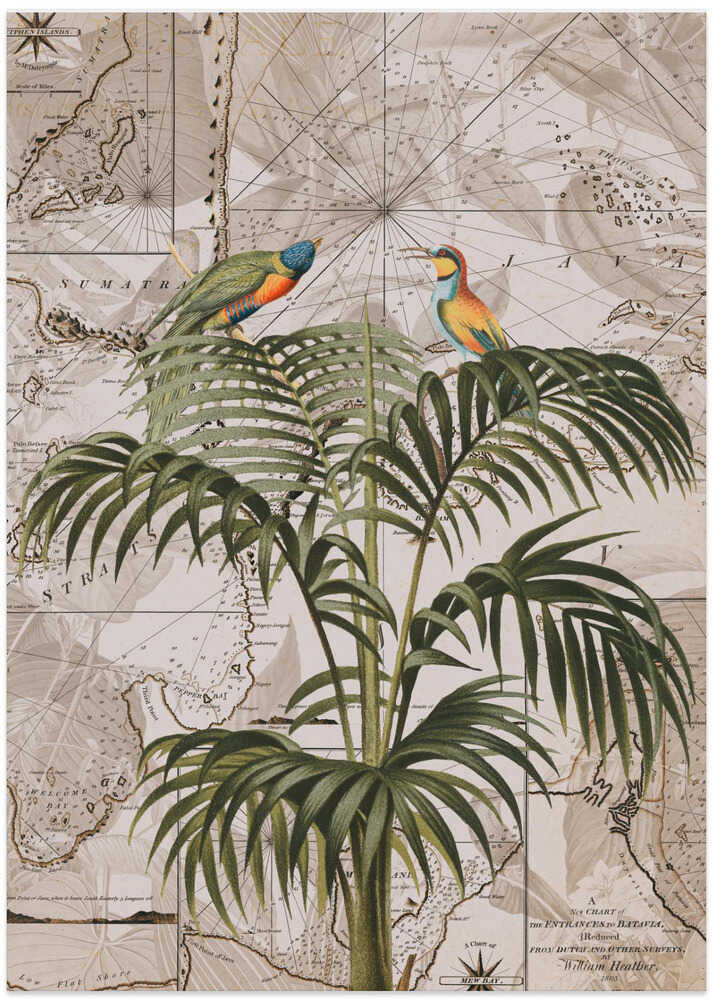 Indonesia Jungle Paradise No3