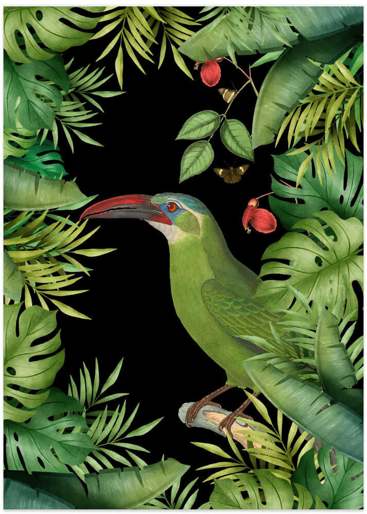 Jungle With Green Toucan