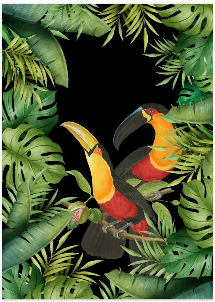 Jungle With Toucans