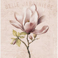 Magnolia Blush No2