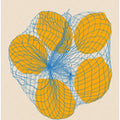 Art Prints of Five Lemons In a Net Bag