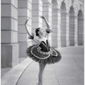 Ballerina in DC