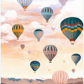 Airballoon Sky
