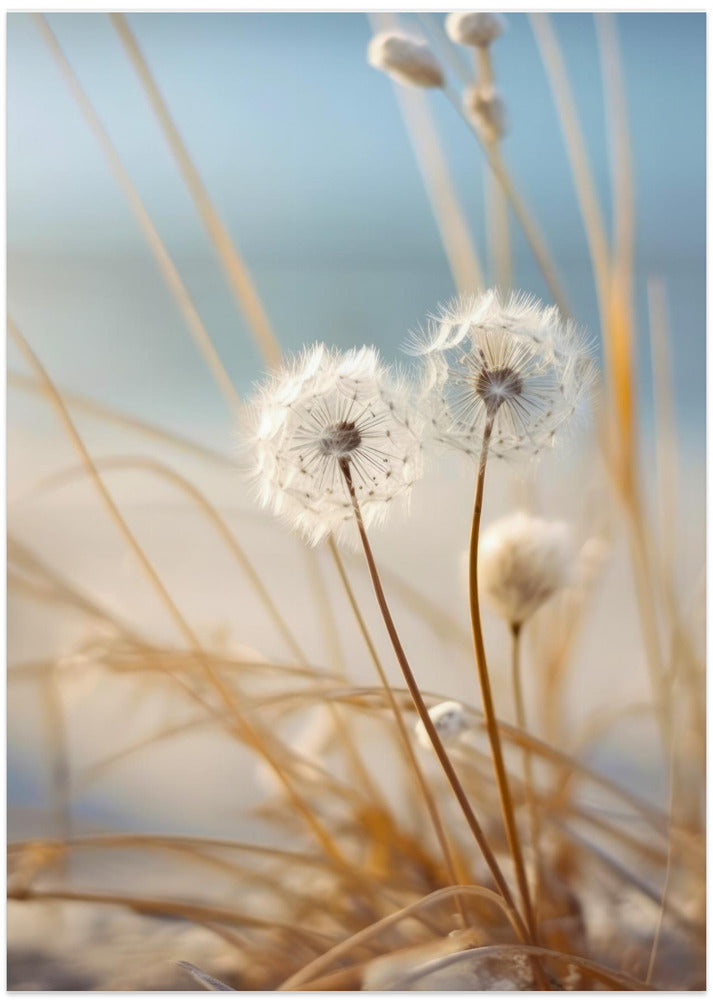 Whispers in the Wind