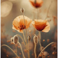 Whispers of Poppies