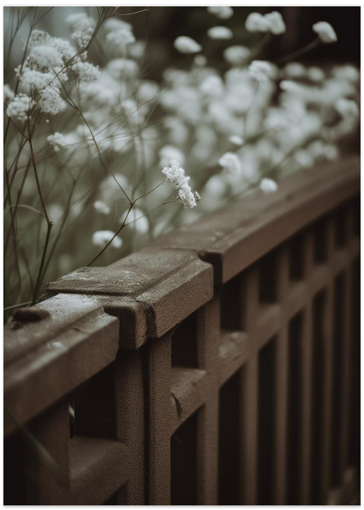 Whispers of Serenity