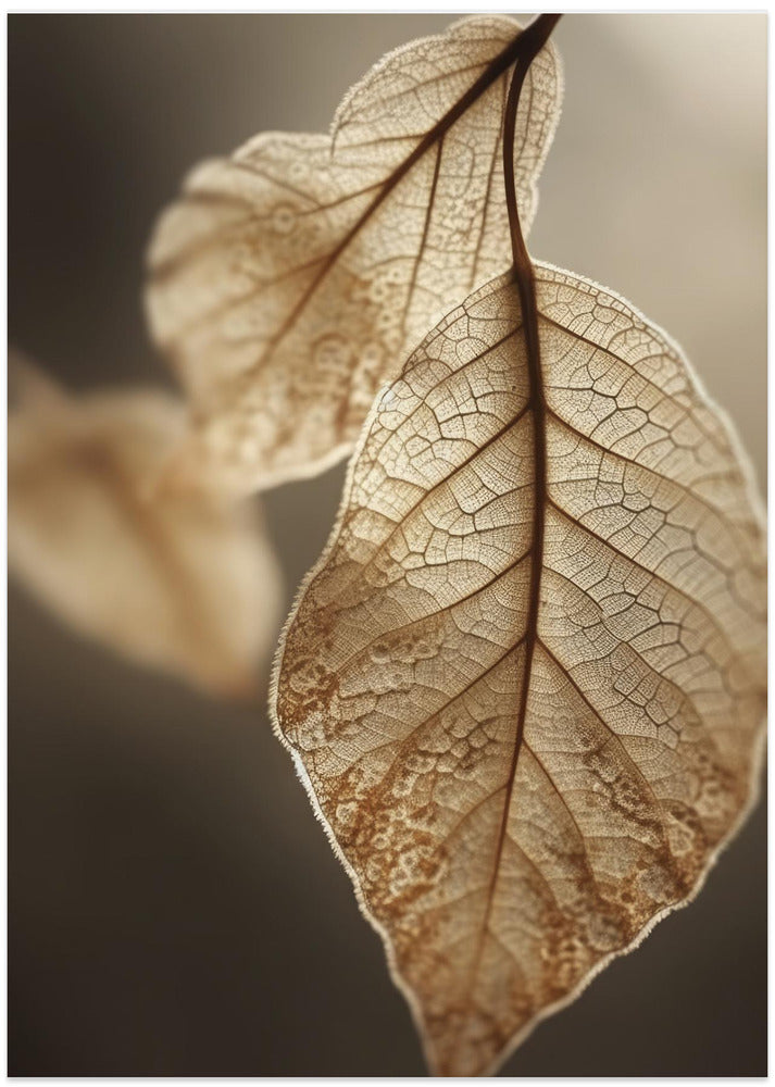 Ethereal Leaves