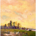 Sunlit Meadowscape