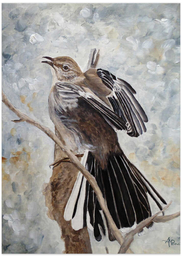 Mockingbird Grandeur