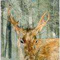 Reindeer In the Forest