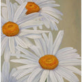 White Daisies