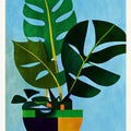 Monstera Leafs