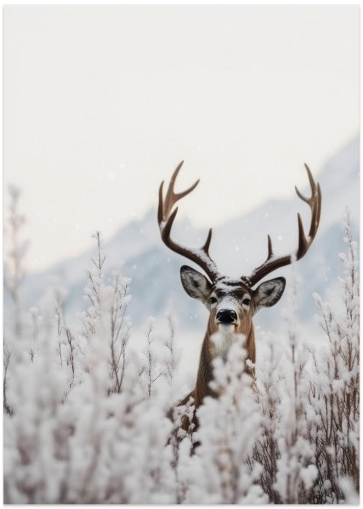 Winter's Silent Watch