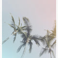 Pastel Palms Bliss