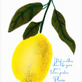 Not Antoher Lemon