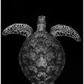 Green turtle on black and white