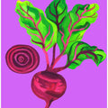 Beetroot Swirl Purple