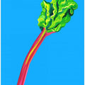 Rhubarb Light Blue