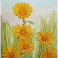 Field of Yellow Daisies
