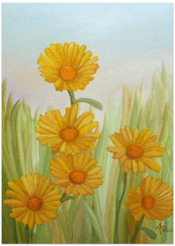 Field of Yellow Daisies