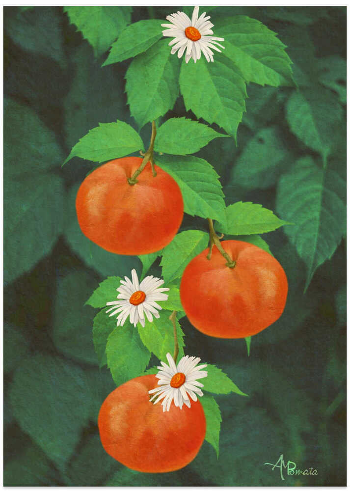 Branch of Mandarin Orange