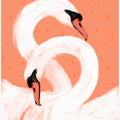Graceful Swans