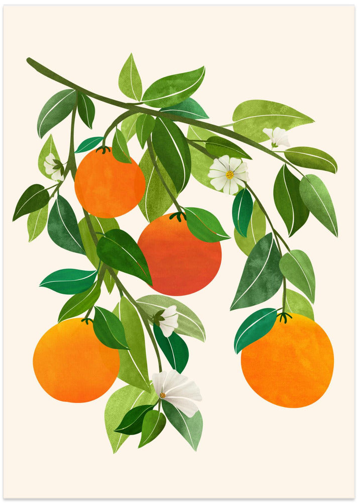 Oranges and Blossoms Ii